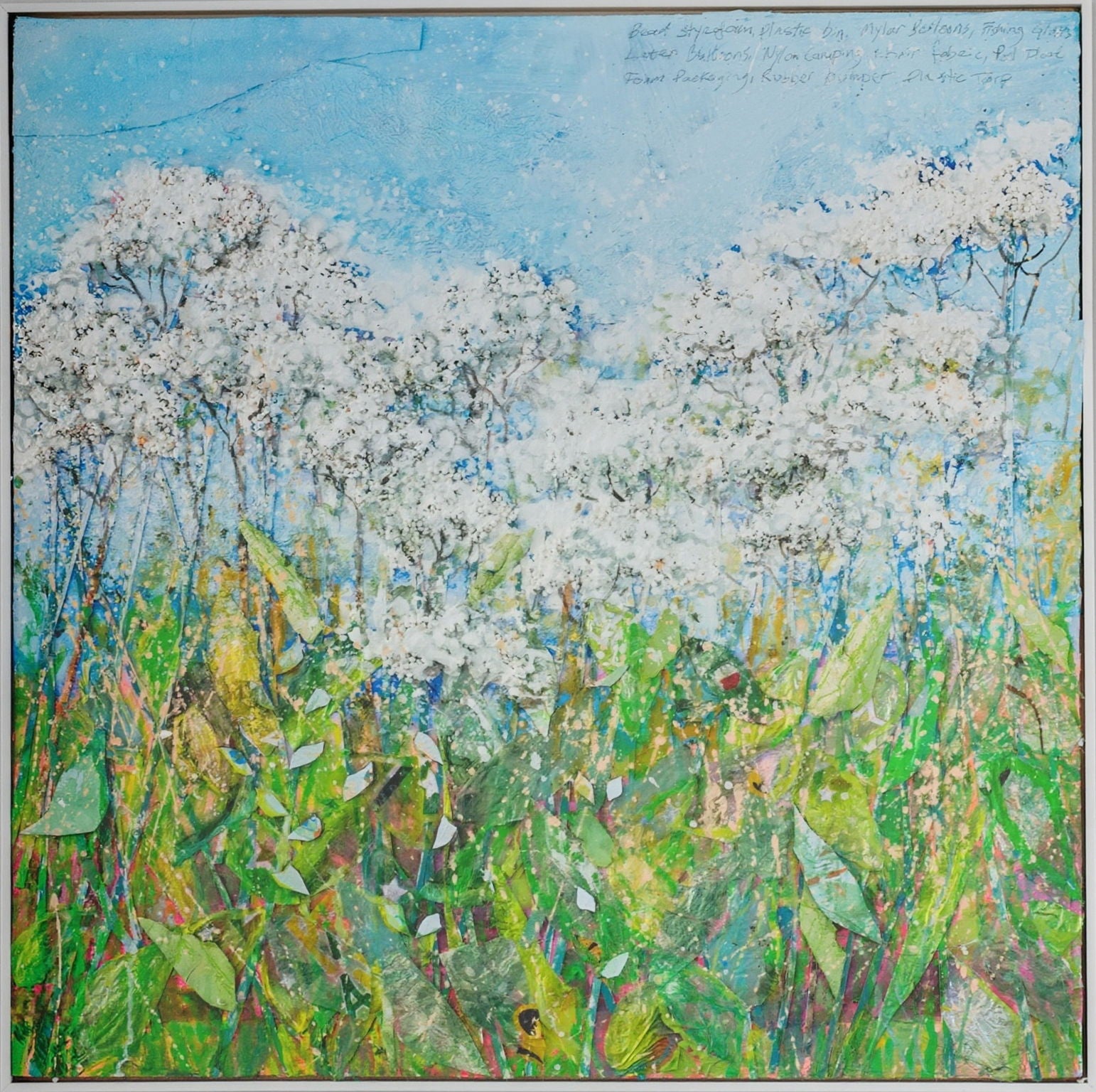 Wild Carrot