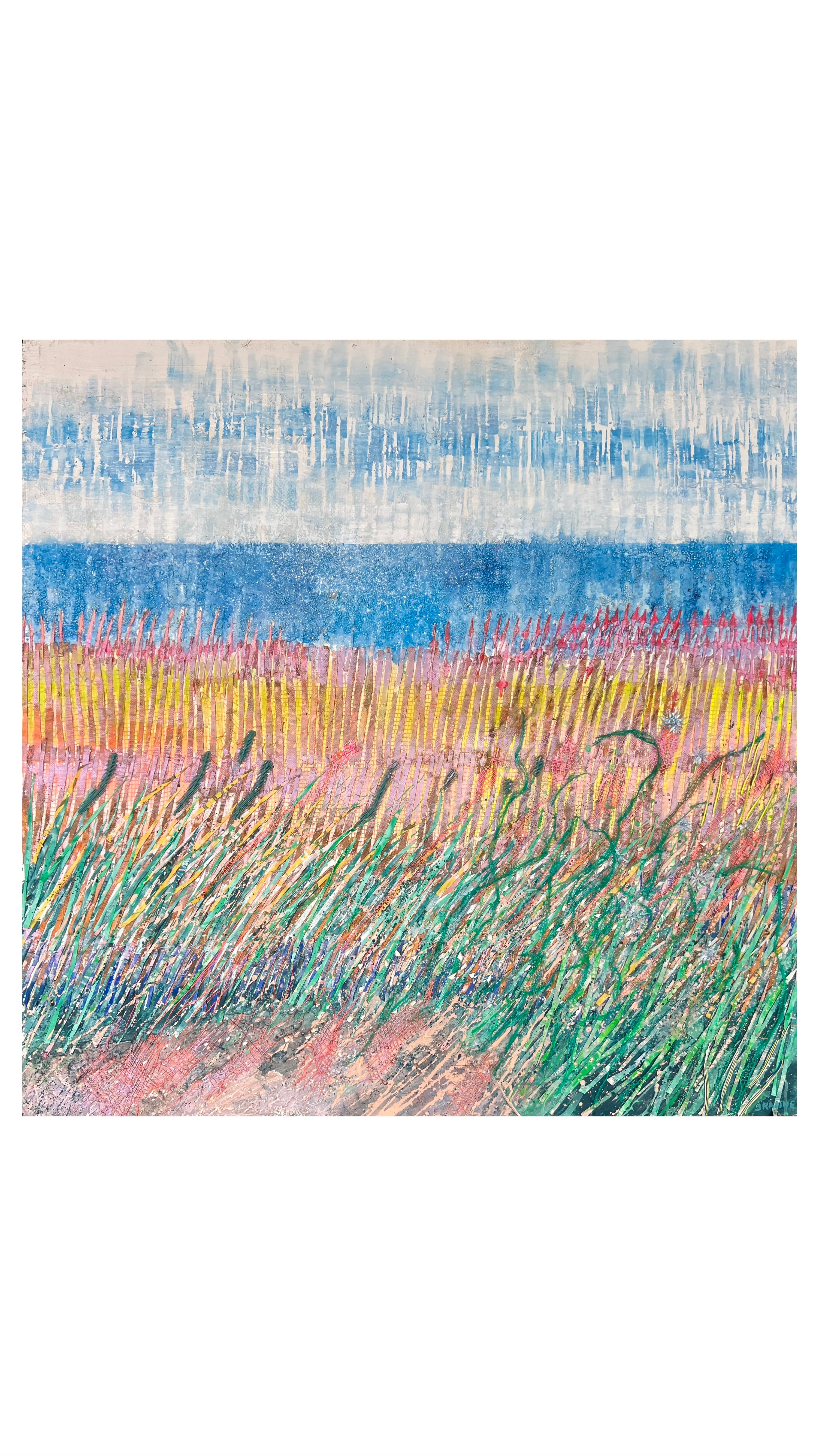 Jackie Ranney Marine Debris - Sustainable Art